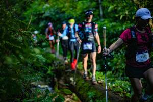 BIB: 9172, 
                            <button type="button" onclick="openModal(18922534)" class="btn btn-primary btn-sm float-right btn-popup" data-toggle="modal" data-target=".modal-high-quality">
                        <i class="fas fa-shopping-cart"></i> Add to Cart
                    </button>
                                            <button type="button" onclick="isThisMe(18922534, true)" class="btn btn-success btn-sm float-right btn-popup btn-isme hidden" data-toggle="tooltip" data-placement="bottom" title="นี่คือรูปของคุณใช่ไหม คลิกที่นี่เพื่อเอาเข้าอัลบั้ม">
                        <i class="fas fa-plus"></i> Add to album
                    </button>
                    <button type="button" onclick="isThisMe(18922534, false)" class="btn btn-warning btn-sm float-right btn-popup btn-isnotme hidden">
                        <i class="fas fa-ban"></i> Remove from album
                    </button>